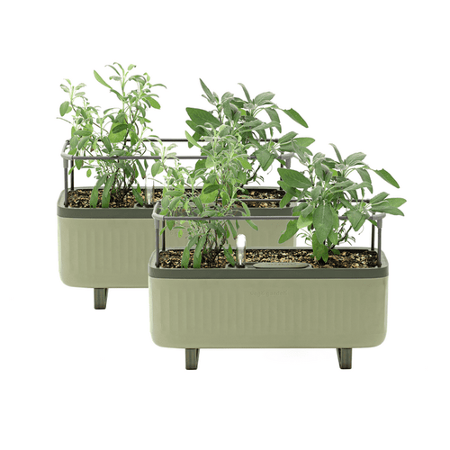 Vego Garden 2 Pack Self-Watering Herb Planter Box with Trellis Sage Green