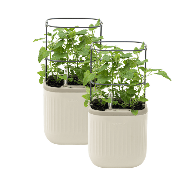 Vego Garden 2 Pack Self-Watering Mini Planter Box with Trellis Cream White