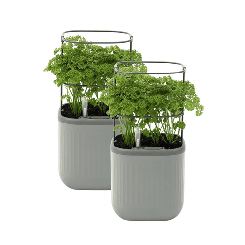 Vego Garden 2 Pack Self-Watering Mini Planter Box with Trellis Fog Gray