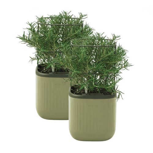 Vego Garden 2 Pack Self-Watering Mini Planter Box with Trellis Sage Green
