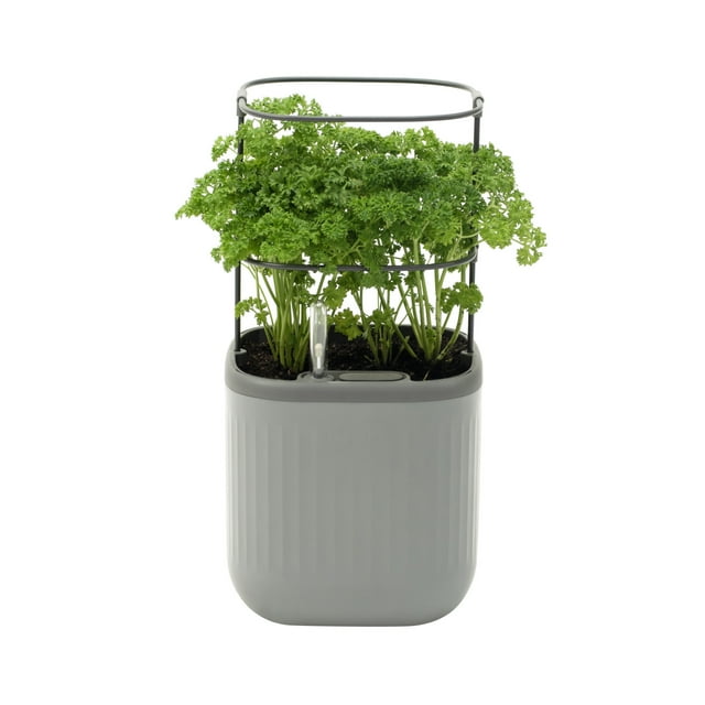 Vego Garden Mini Planter Box with Trellis Self-Watering Raised Garden Bed for Climbing Vegetables Plants Cage - Fog Gray