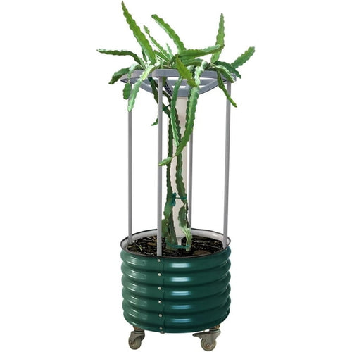 Vego garden Dragon Fruit Self-Watering Rolling Planter-British Green