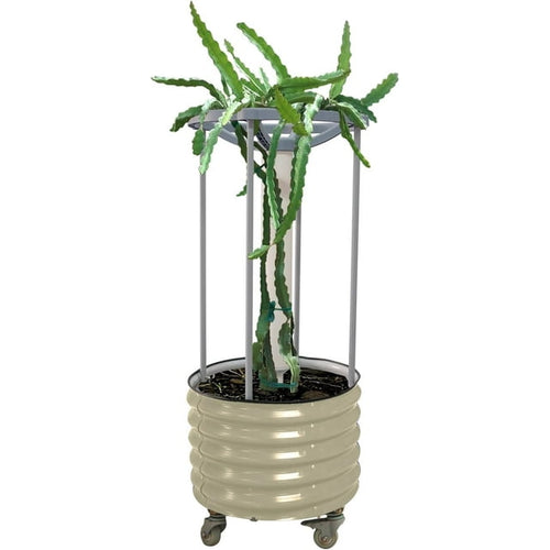 Vego garden Dragon Fruit Self-Watering Rolling Planter-Pearl White