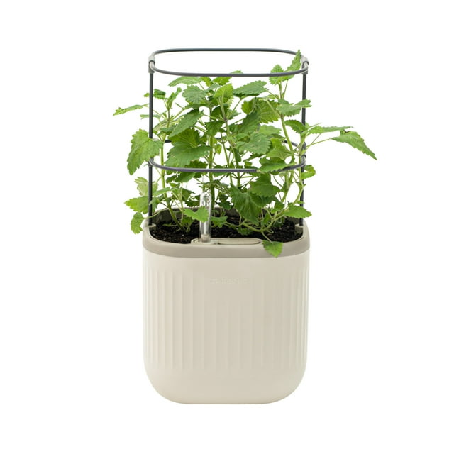 Vego Garden Mini Planter Box with Trellis Self-Watering Raised Garden Bed for Climbing Vegetables Plants Cage - Cream White