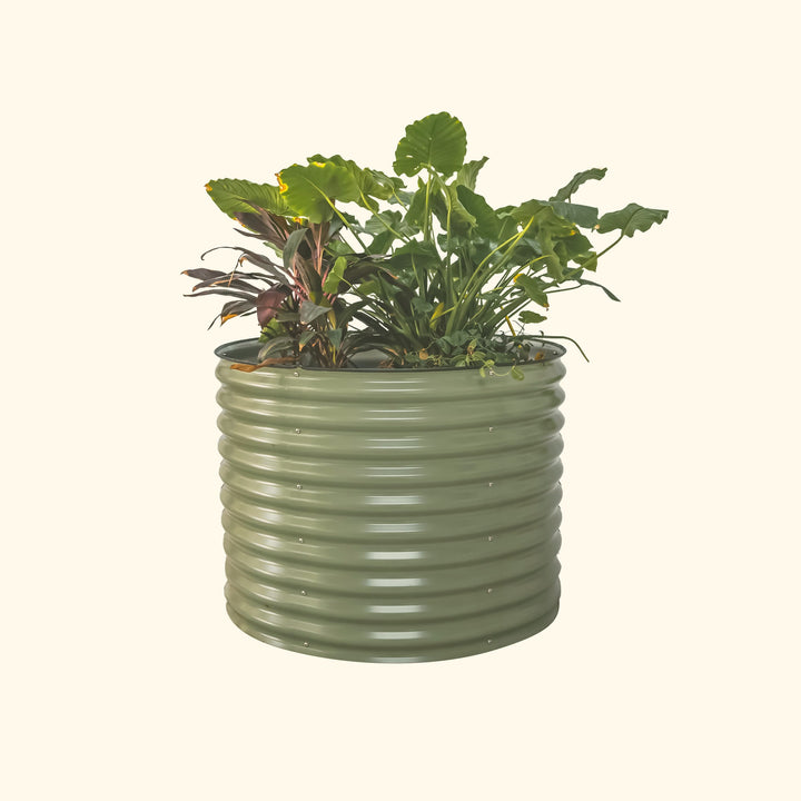 Vego garden 32